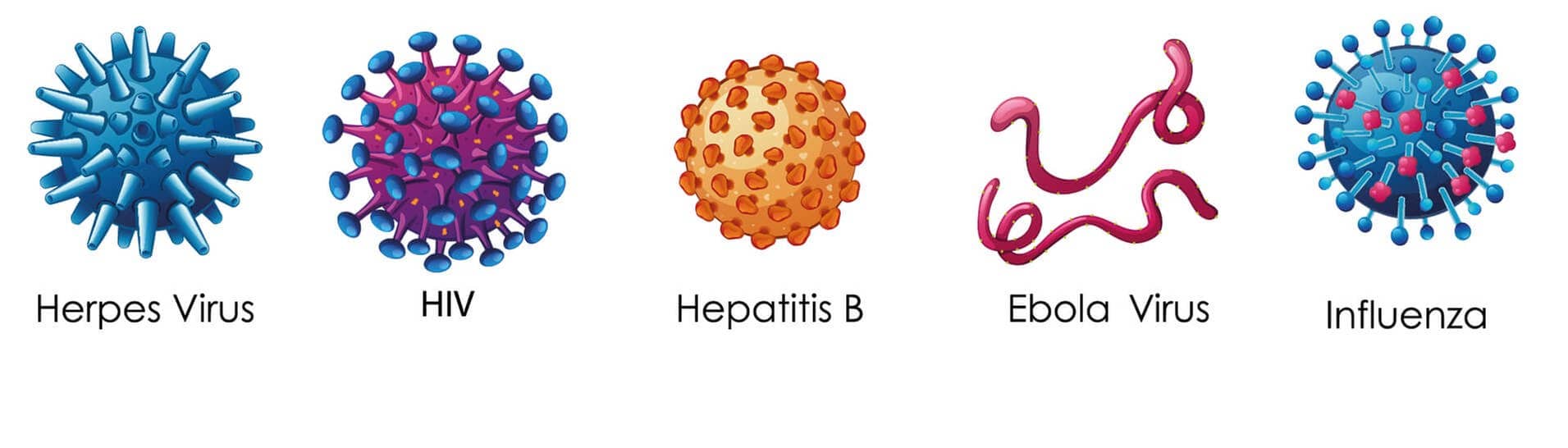 Formen verschiedener Virus-Arten: HIV, Ebola, Influenza, Herpes