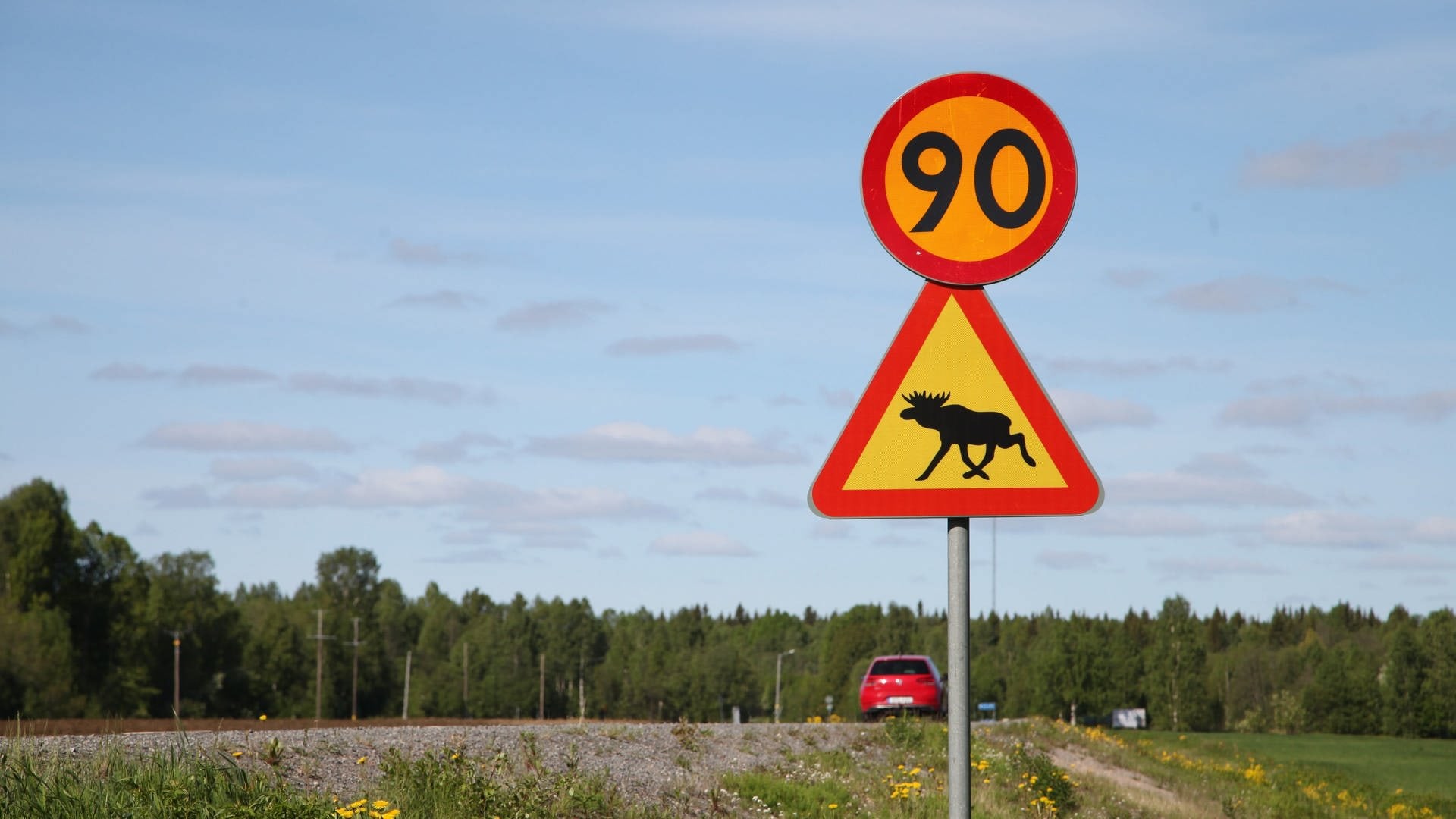 Ein Schild warnt Autofahrer in Schweden vor Elchen.