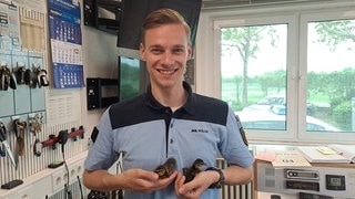 Ein Beamter des Polizeipräsidiums Mannheim hält kleine Entenküken auf seinem Arm (Foto: Polizeipräsidium Mannheim) Ein Beamter des Polizeipräsidiums Mannheim hält kleine Entenküken auf seinem Arm