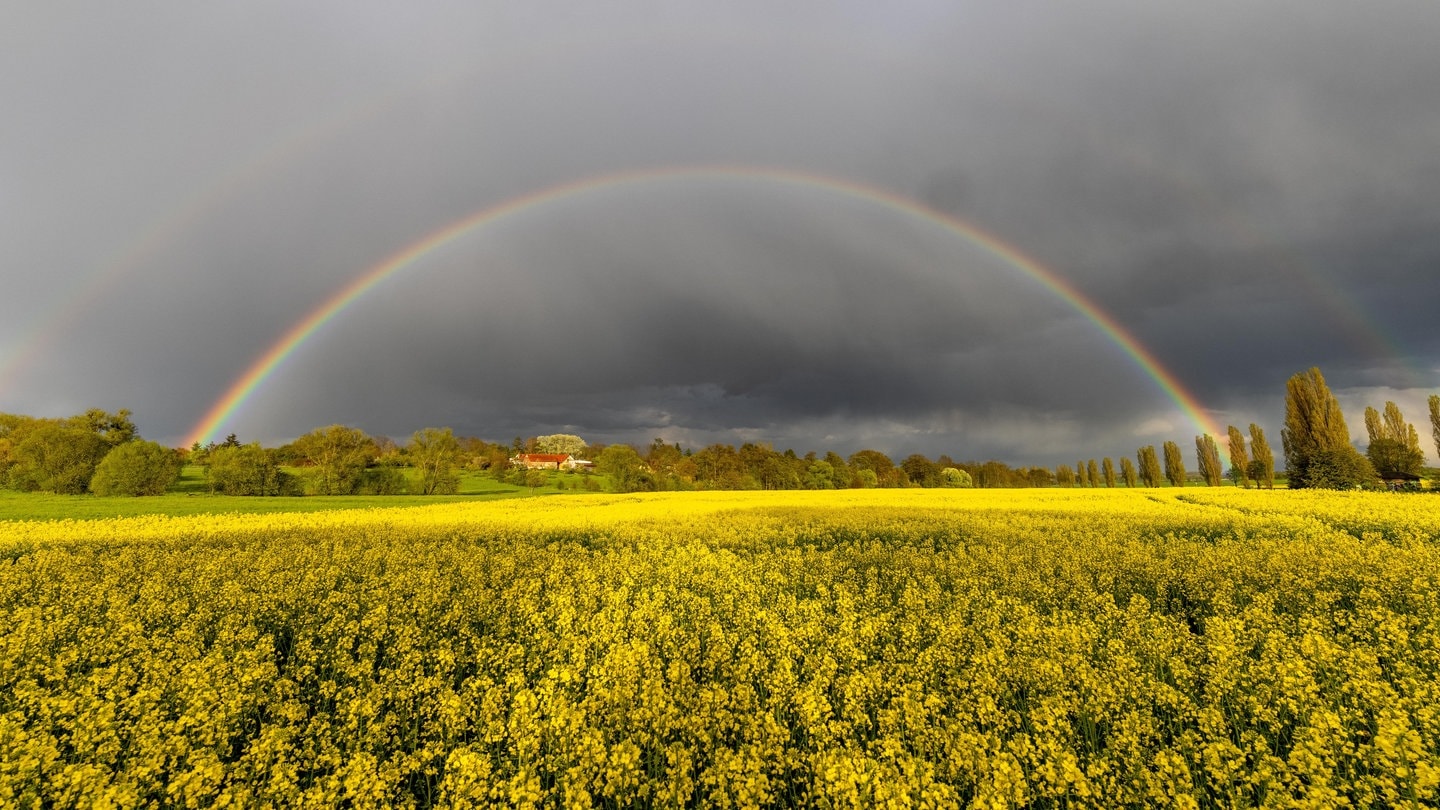 Wettervorhersage     Warum deine Wetter-App Mai h  ufig daneben liegt