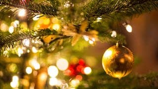  Eine goldene Kugel hängt an einem Weihnachtsbaum