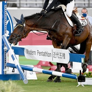 Fünfkampf-Pferd Saint Boy beim Ritt Olympia 2021 mit Annika Schleu