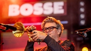 Bosse beim SWR Sommerfestival in Zweibrücken