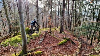 Ratgeber Fahrradkauf