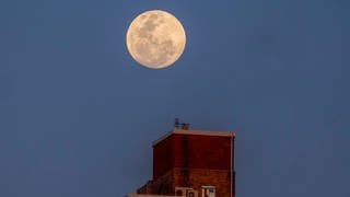 Hier geht der Supermond über einem Wohnhochhaus in Sydney auf.