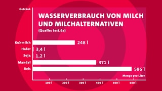 Ist pflanzliche Milch besser als Kuhmilch? 