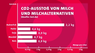 Ist pflanzliche Milch besser als Kuhmilch? 