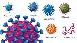 Formen verschiedener Virus-Arten: HIV, Ebola, Influenza, Herpes