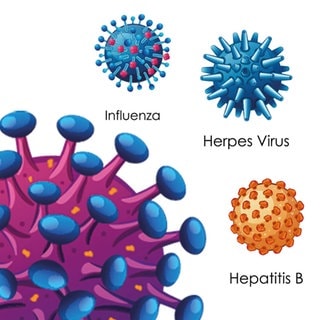 Formen verschiedener Virus-Arten: HIV, Ebola, Influenza, Herpes