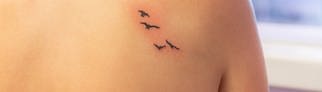 Frisches Tattoo mit fliegenden Vögeln auf dem Rücken einer jungen Frau