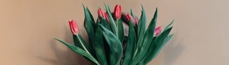 Eine Frau hält rote Tulpen in einer Vase vor ihr Gesicht, das Menschen mit Rot-Grün-Schwäche nicht so deutliche erkennen werden