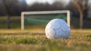 Ein Fußball liegt auf einem Fußballplatz.