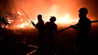 Feuerwehrleute in Griechenland versuchen einen Waldbrand zu löschen.