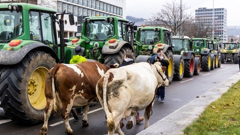 Der RLP-Newsticker: Bilanz Der Bauern-Proteste - SWR Aktuell