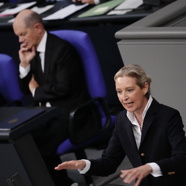 Großer Andrang Und Gegendemo: AfD-Chefin Weidel In Bretten - SWR Aktuell