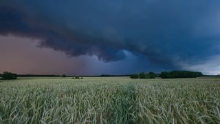 Gewitterwolken über einem Feld in Deutschland.