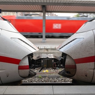 Zwei gekoppelte ICE-Züge stehen am Gleis in einem Bahnhof