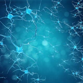 Symbolbild neuronale Verbindungen im Gehirn.