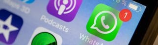 Das Logo der Messenger-App WhatsApp ist auf dem Display eines iPhones zu sehen.