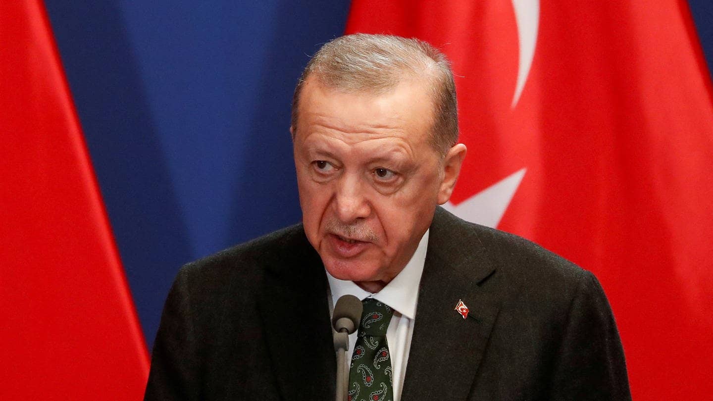 Der türkische Präsident Recep Tayyip Erdoğan vor Türkei-Flaggen