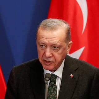 Der türkische Präsident Recep Tayyip Erdoğan vor Türkei-Flaggen