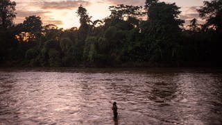 Am Boden undurchdringlich: der Amazonas-Regenwald in Ecuador.