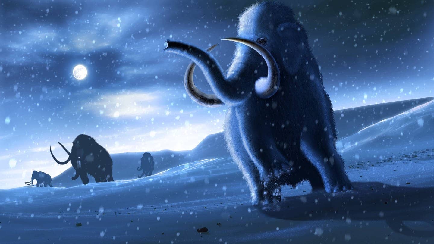 Grafik: Mammuts im Schnee.