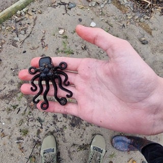 Ein Oktopus aus Lego, den ein 13-jähriger Junge gefunden hat.