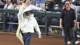 Imker Matt Hilton trifft im Stadion der Arizona Diamondbacks ein, um Bienen zu entfernen