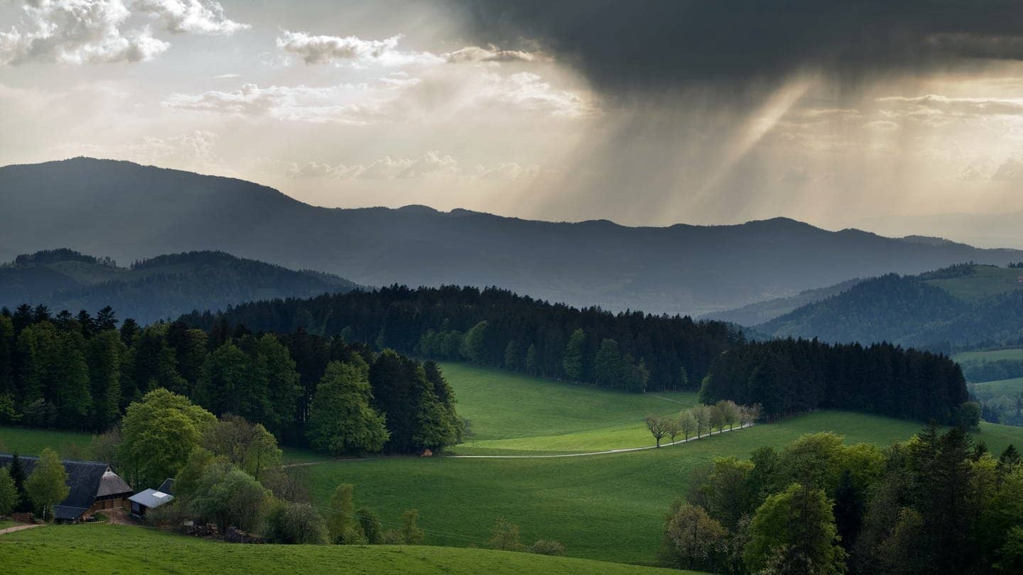 Schwere Regenwolken über dem Schwarzwald.