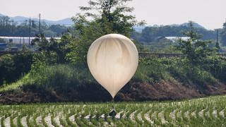 Einer nordkoreanischer Ballon ist auf einem Feld gelandet. Am unteren Ende hängt eine Tüte mit Abfall etc.