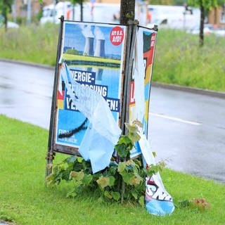 Ein abgerissenes Wahlplakat der AfD steht an einer Straße