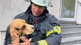 Beagle Frank mit Feuerwehrmann David, einem seiner Retter.