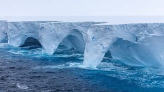 Spektakuläre Bilder von Eisberg A23a zeigen, wie Erosion riesige Bögen und höhlenartige Vertiefungen in den Koloss gemeißelt hat.