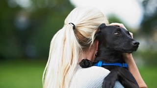 Eine Frau hält ihren Hund im Arm.