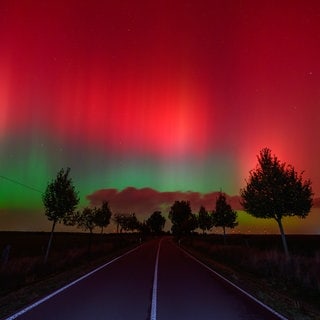 Polarlichter leuchten am Nachthimmel über einer Straße im östlichen Brandenburg.