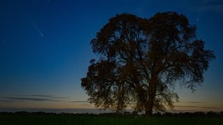 Der Komet Tsuchinshan-Atlas ist am Abendhimmel über Brandenburg zu sehen.