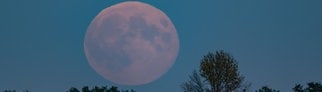 Sehr schwach leuchtet der aufgehende Supermond über der Landschaft im östlichen Brandenburg.