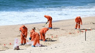 Arbeiter in orangenen Anzügen sammeln mysteriöse schwarze Kugeln an einem Strand in Australien.