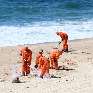 Arbeiter in orangenen Anzügen sammeln mysteriöse schwarze Kugeln an einem Strand in Australien.