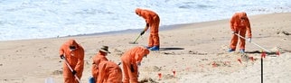 Arbeiter in orangenen Anzügen sammeln mysteriöse schwarze Kugeln an einem Strand in Australien.