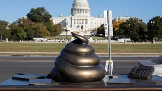 Eine Statue eines Kot-Haufens steht vor dem Kapitol in Washington D.C.