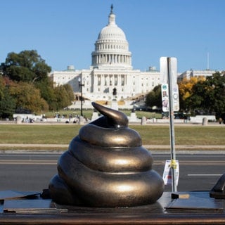 Eine Statue eines Kot-Haufens steht vor dem Kapitol in Washington D.C.