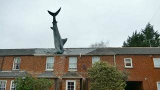 Ein Kunst-Hai steck kopfüber in einem Haus in Headington, Oxford in England. 