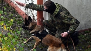 Ein ukrainischer Diensthundeführer schickt seinen Hund im Rahmen einer Ausbildung bei der Bundeswehr los, um eine Aufgabe zu erledigen.