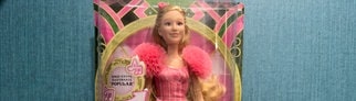 Auf der Rückseite dieser Barbie hat Mattel aus Versehen den Link einer Porno-Seite abgedruckt. Die Figuren stammen aus dem Kinofilm „Wicked“.