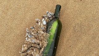 An einer am Strand von Australien angeschwemmten Weinflasche haften Muscheln an, darin befindet sich eine eingerollte Nachricht