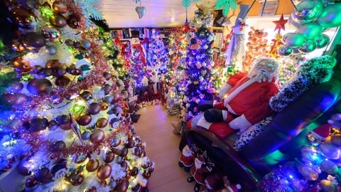 Hunderte Weihnachtsbäume stehen im Haus einer Familie. Sie haben damit einen Rekord aufgestellt.