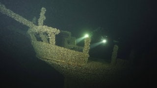 Ein von Quagga-Muscheln übersätes Wrack im Bodensee