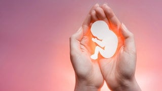 Eine Embryo-Silhouette aus Papier liegt in den Händen einer Frau als Symbol für eine Fehlgeburt